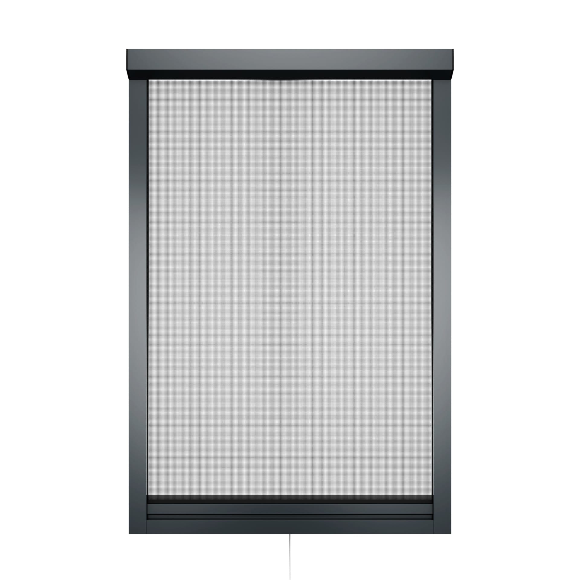 Insect screen-la mosquitera