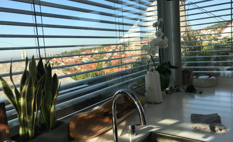 Venecian blinds in inside